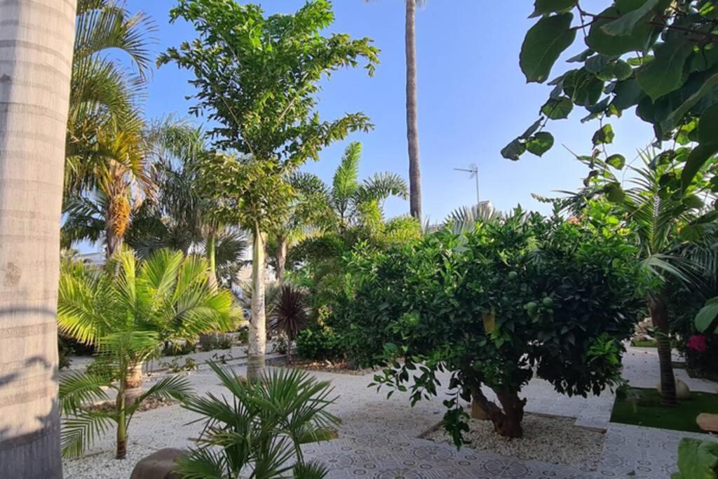Tropical Paradise Villa in Torrevieja Exterior foto